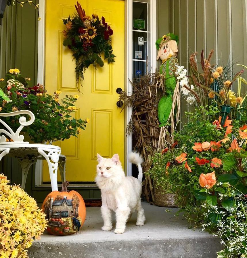 Yellow Door Bed And Breakfast Fort Erie Buitenkant foto