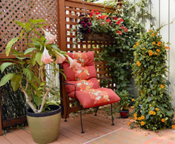 Yellow Door Bed And Breakfast Fort Erie Buitenkant foto